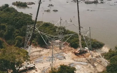 Locação de Guindaste em Zonas Rurais: O Que Você Precisa Saber